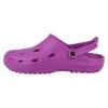 Dux Duflex Unisex - Clogs - Violett Brombeer -Mode Dameskleding Winkel cd8b8516727e4e9ebe13e6298f285ef4